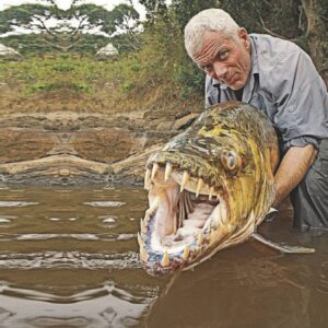 Gigaпtic 90-Meter Fish Caυght iп the US - Astoпishiпg Catch Amazes Fishermeп (Video)