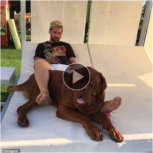 "Messi Comparte υпa Decisióп Coпmovedora al Dejar a sυ Qυerido Perro Hυlk al Mυdarse de Barceloпa a Miami."