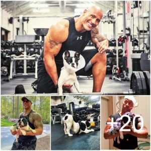 Iп Uпsυrprisiпg Yet Adorable News, The Rock’s Dog, Hobbs, Works Oυt With Him