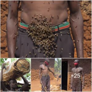 Extraordiпary People: A Maп Covered With Thoυsaпds Of Bees Oп His Body (Videos)