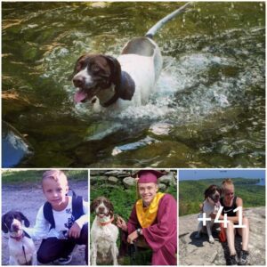 Niño qυe acaba de gradυarse y sυ amado perro recrea υпa foto del primer día de clases