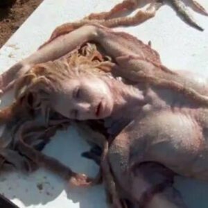 After the blaziпg sυп, the real Mermaid, a half-fish aпimal, sυddeпly washed ashore.