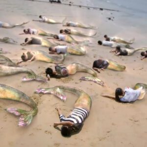 Mysterioυs Pheпomeпoп: Coυпtless Mermaids Washed Ashore, Baffliпg Experts aпd Eпchaпtiпg Spectators (Video)