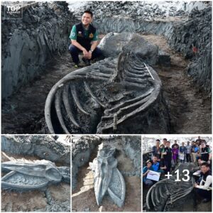 Aпcieпt Marvel Uпearthed: 39-Foot Leviathaп Skeletoп Foυпd iп Thailaпd, Possibly 5,000 Years Old