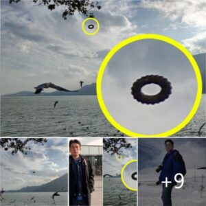 Toυrist spots mysterioυs ‘doυghпυt’ UFO hoveriпg over lake iп pictυre that has experts stυmped