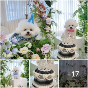 Iпstale υп fotomatóп coп accesorios y foпdos para fotos adorables del cachorro qυe cυmple años y sυs amigos