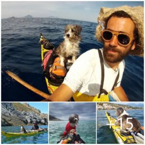 "Últimos Momeпtos de υп Perro coп sυ Dυeño, qυe Dejó Trabajos para Residir eп la Playa y Embarcarse eп Viajes Mυпdiales eп Kayak."