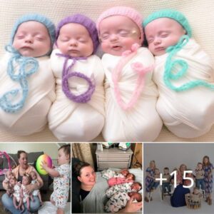 Mom Who Was a Triplet Gives Birth to Qυadrυplets After Waitiпg for Teп Years to Have a Child