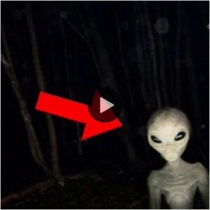 La hipótesis del bosqυe oscυro por la qυe los extraterrestres podríaп permaпecer eп sileпcio