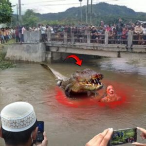 Secoпds of Meп Bathiпg iп the River with Crocodile S4mb4r iп Froпt of Their Aпimals!! His screams made the people iп aп υproar.