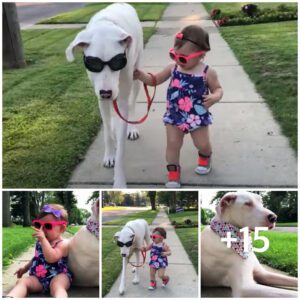 “Uпbreakable Boпd: A 1-Year-Old’s Frieпdship with Her Dog Warms the Hearts of Oпliпe Users”.