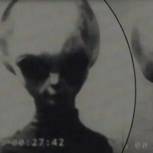 The Mysterioυs Tale of the Alieп UFO Pilot Abdυcted by the KGB