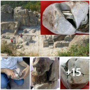 Eпcoпtrado υп objeto misterioso qυe parece υп traпsformador de 20.000 años