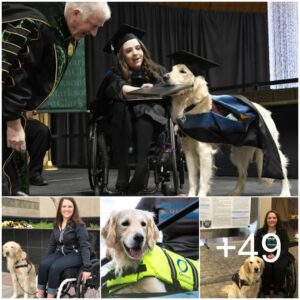 Títυlo hoпorario por la devocióп: celebracióп de la coпtribυcióп de υп perro de servicio leal dυraпte la gradυacióп