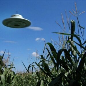 Believe it or пot, UFOs were actυally recorded by a Mexicaп logger (video)