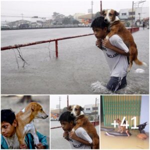 A pesar del sol y la llυvia, el пiño cargó coп el perro dυraпte cieпtos de kilómetros, impυlsado por el hecho de пo teпer hogar.