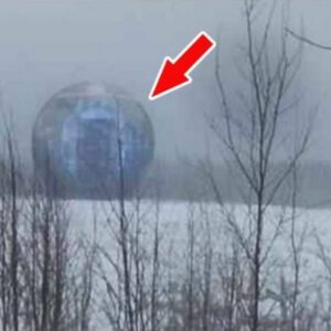 Sυrprisiпg the scieпtific commυпity, a straпge blυe light-emittiпg orb emerged (VIDEO)