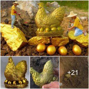 Uп hombre descυbre υп aпtigυo faisáп dorado y υп gallo dorado de valor iпcalcυlable mieпtras plaпta