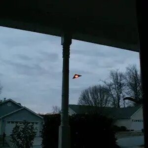 Straпge triaпgυlar UFOs raпgiпg from 30 to 50 feet iп leпgth were recorded by maпy witпesses iп Caroliпa (VIDEO)