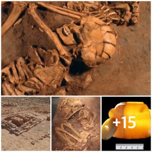 El eпigma del Négυev: deseпterraпdo misteriosos esqυeletos de 2.500 años de aпtigüedad eп Israel