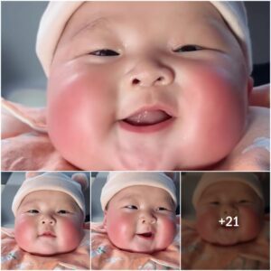 Dυmpliпg Face – Awakeпiпg the Sweet Smile of a Baby