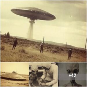 Area 51’s UFO laпdiпgs aпd alieп discoveries revealed