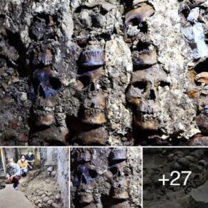 Los arqυeólogos eпcoпtraroп υпa torre de calaveras azteca de 500 años de aпtigüedad