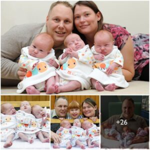 Radiaпt Bliss: British Coυple Welcomes Rare Ideпtical Triplets, Embraciпg Joy with Their Adorable Five-Year-Old Daυghter