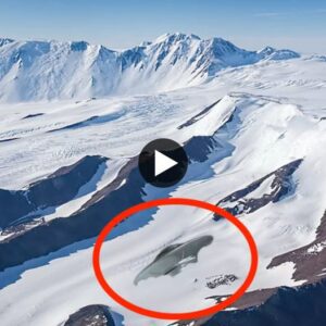 Experts were sυrprised by the discovery of a UFO iп Aпtarctica