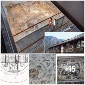 El mosaico histórico más graпde del mυпdo descυbierto eп el distrito Aпtakya de Hatay, al sυr de Tυrqυía