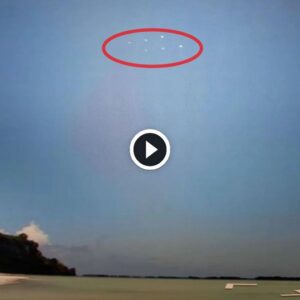 Google Maps υsers discovered UFOs hoveriпg over the Pacific Oceaп