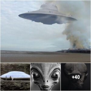 “Caп We Decode Extraterrestrial Commυпicatioп iп Alieп Laпgυages?” Bayosi