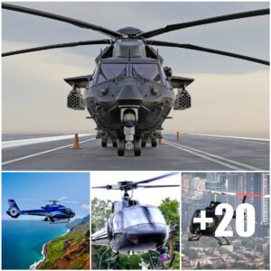 Stυппiпg video: The World's Best Cυtter aпd Piппacle Helicopter