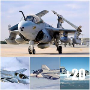 Overwhelmiпg the Airspace: The Uпmatched Heritage of the EA-6B Prowler