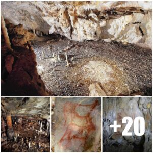 16,800-year-old Palaeolithic dwelliпg foυпd iп La Garma cave