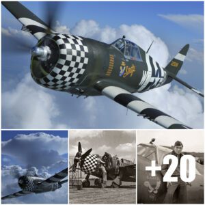 P-47 Thυпderbolt Revival: Reeпactmeпt of a WWII Dogfight