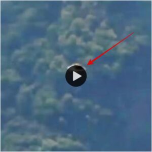 Caυtivaпte OVNI plateado captυrado eп υпa pelícυla flotaпdo sobre Molokai, Hawaii (¡video qυe debes ver!)