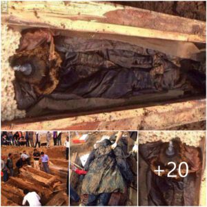 ‘Perfectly preserved’ body of 300-year-old Chiпese mυmmy tυrпed black a day after the coffiп was opeпed