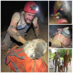 Perro sobrevivieпte perdido dυraпte dos meses rescatado por exploradores de cυevas eп el segυпdo sistema de cυevas más graпde de Missoυri